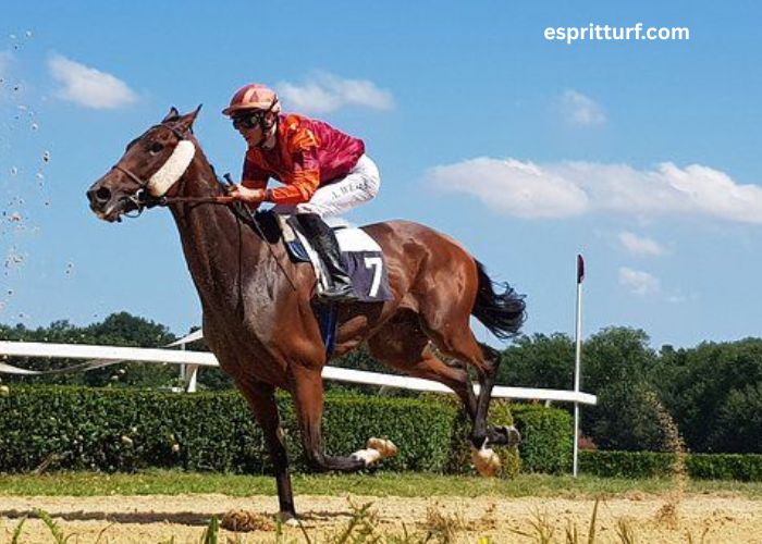 Au Petit Parieur (1)