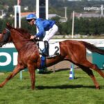 Canalturf Du Jour