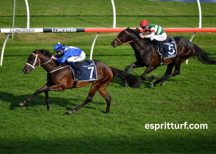 Equidia Turf Pronostic (2)