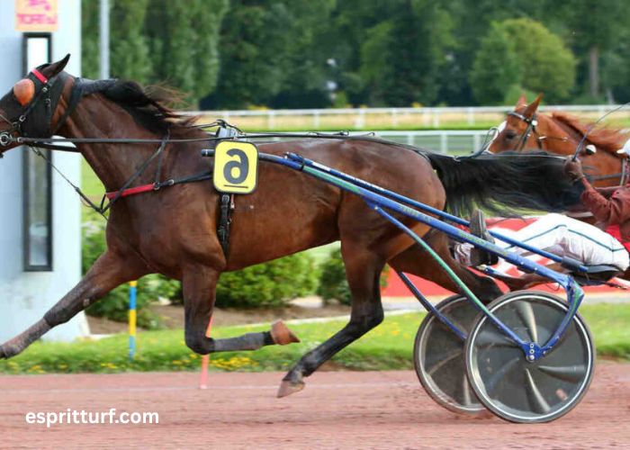 Geny Gagnant Miroir