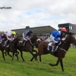 Good Hippique Turf (1)
