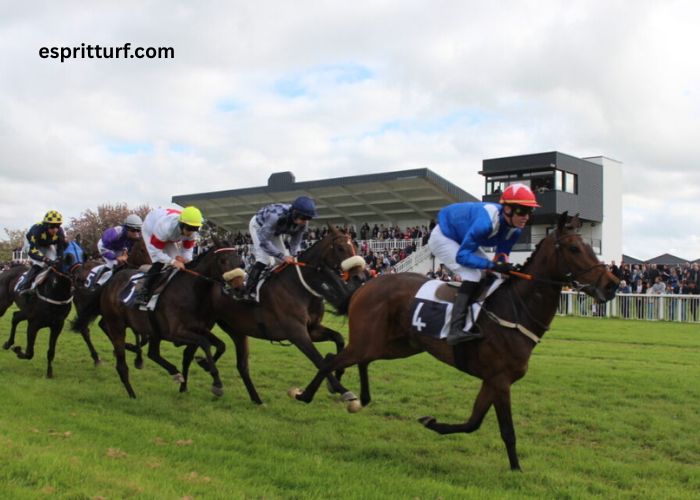 Good Hippique Turf (1)
