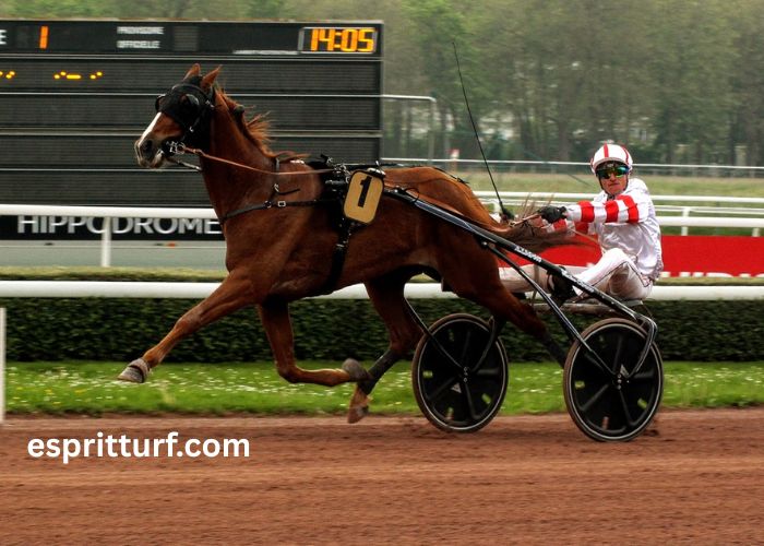 Info Gagnant Vip (3)