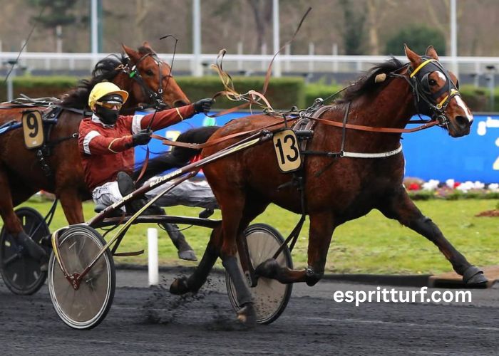 Journal Gratuit Du Parieur (1)