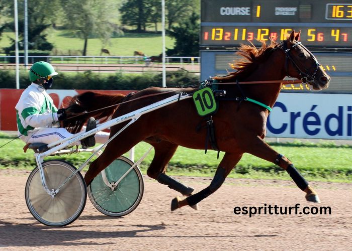 Le Duo Hero Turf (1)