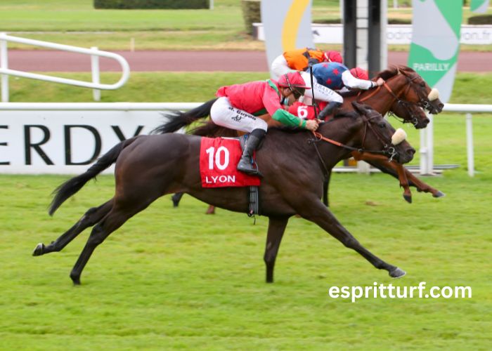 Les 5 Pions Turf