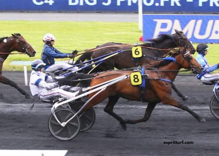 Resultat Des Courses Aujourd'hui