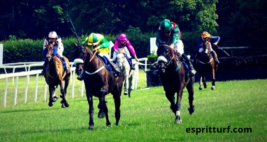 Super Gagnant Turf