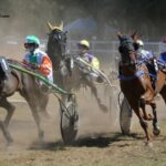 Turf DE France