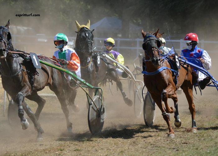 Turf DE France