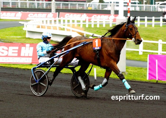 Expert Du Turf Pronostic Gratuit