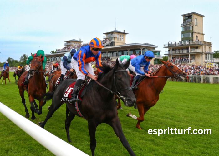 Legende Hippique Turf (2)