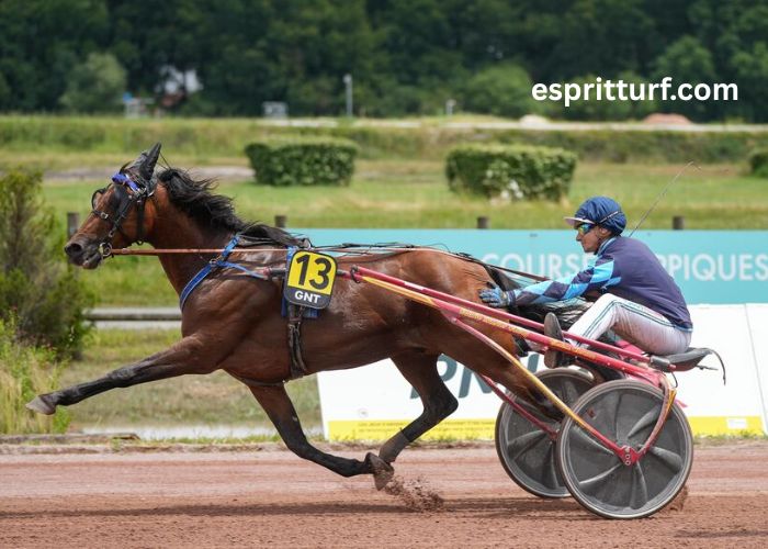 Site Pmu Gagnant (1)